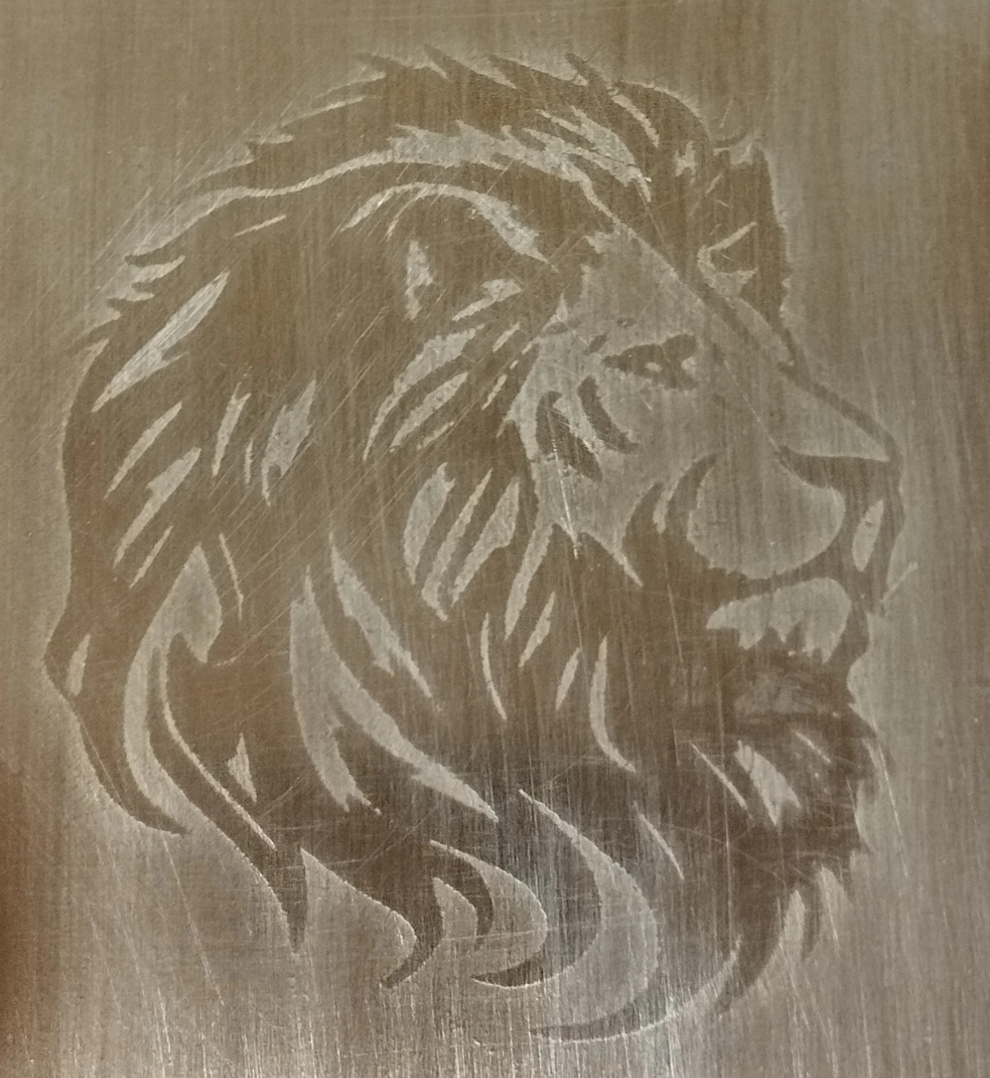 Gravure sur laiton, tête de lion